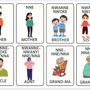100 Igbo E-Flashcards - Digital set (Instant Downlaod)