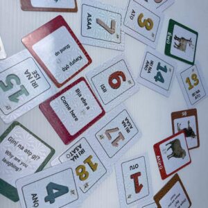 Igbo Flashcards — 300 Card Ultimate Premium Physical Set 🇳🇬 (with free delivery within Nigeria)